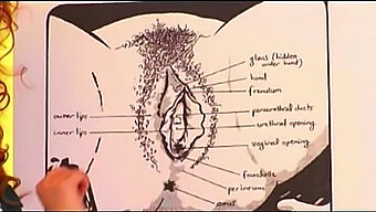 The Skillful Practice Of Oral Sex On Women By Bruno